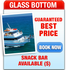 Key West Glass Bottom Boat